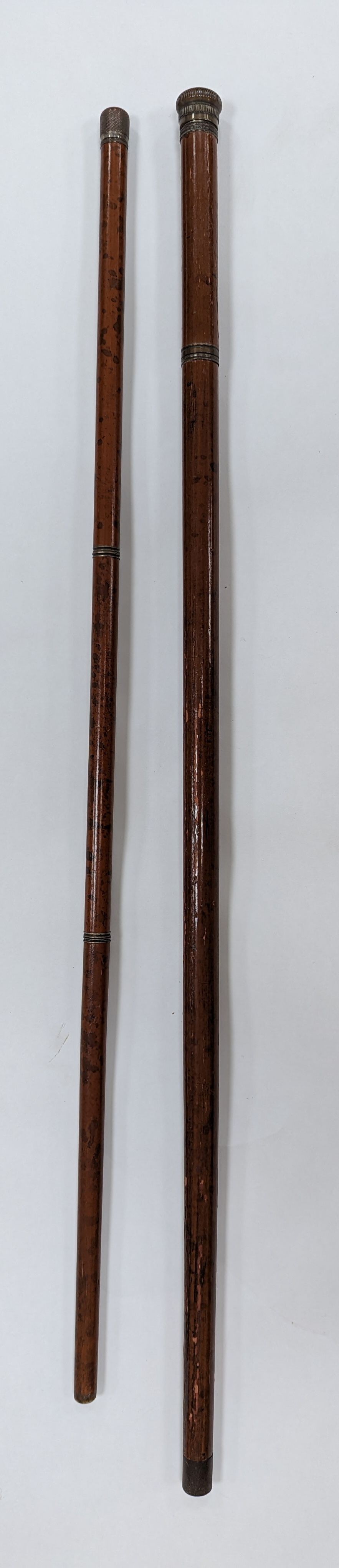 A 19th century novelty ‘pen and pencil’ walking stick together with a glass toddy walking stick